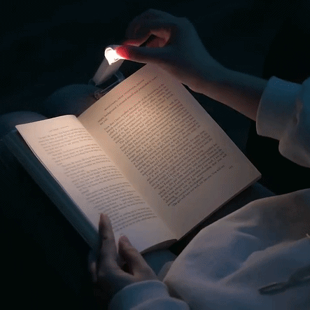 Nocturne – AmberLight