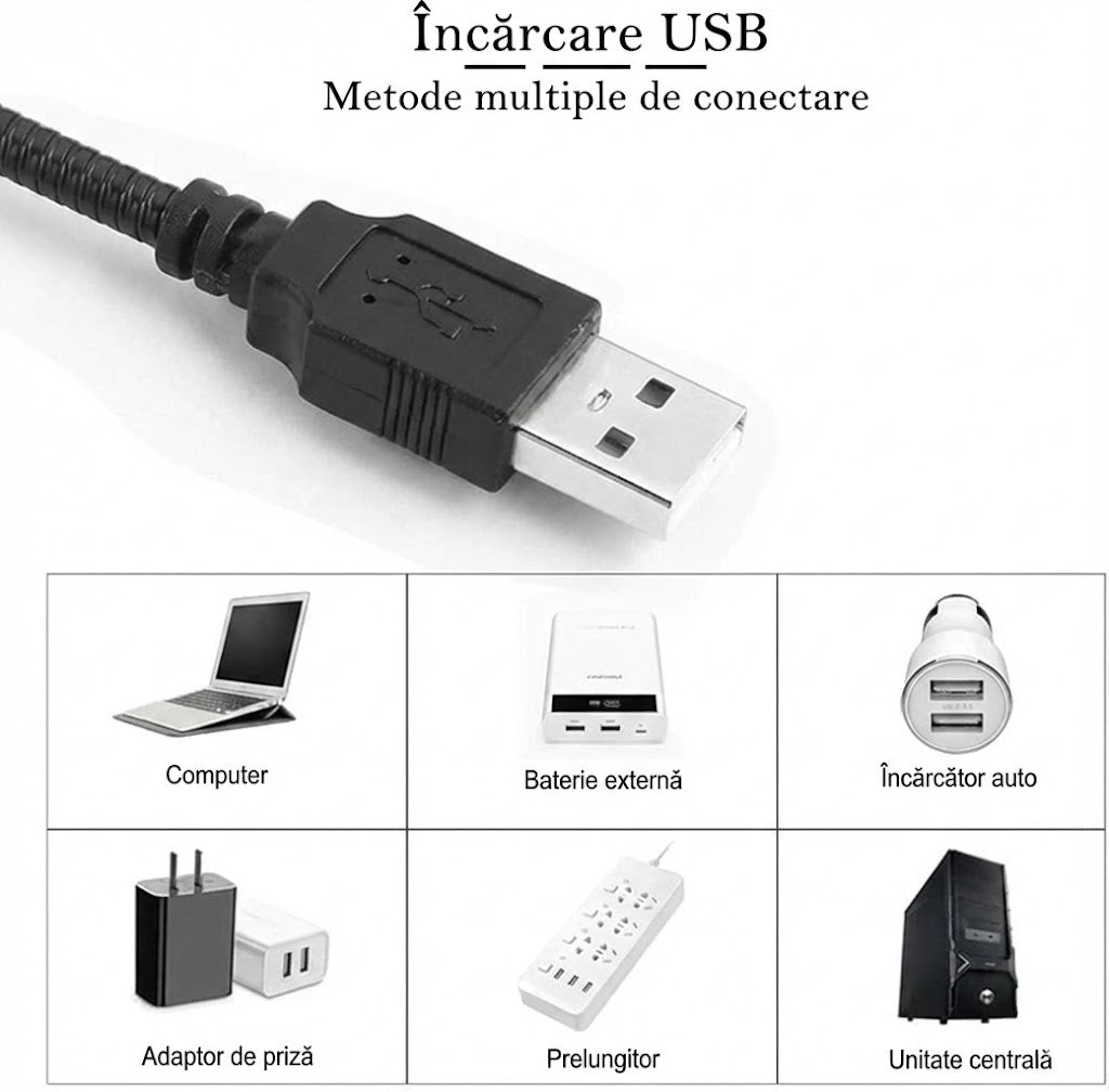 Lumină de Vis cu Stele